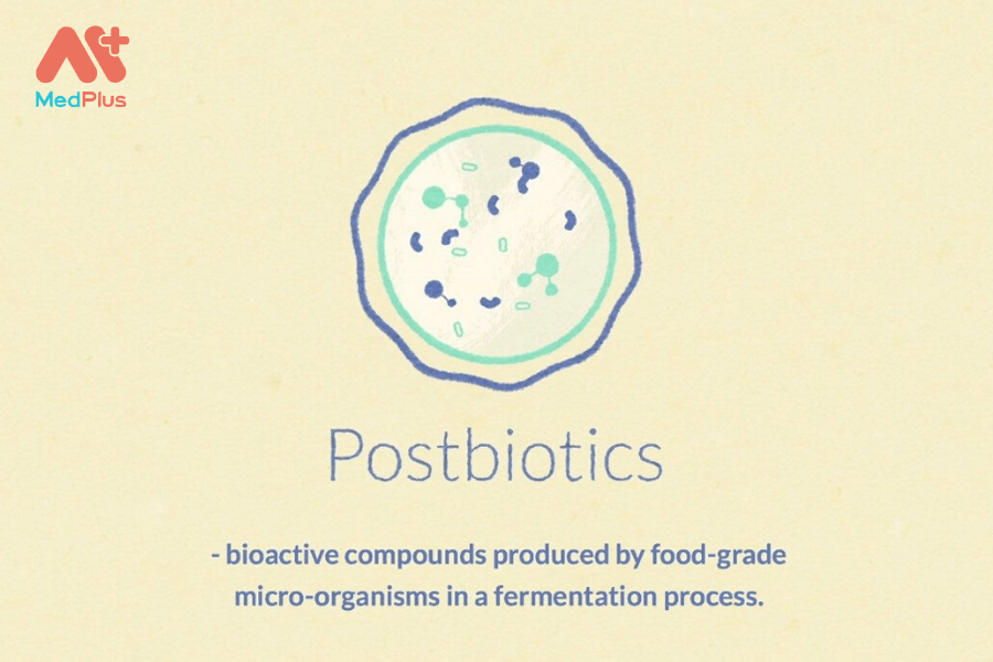 Postbiotic: vai trò và 4 lợi ích cho hệ tiêu hóa khỏe mạnh 127 lợi ích của postbiotic
