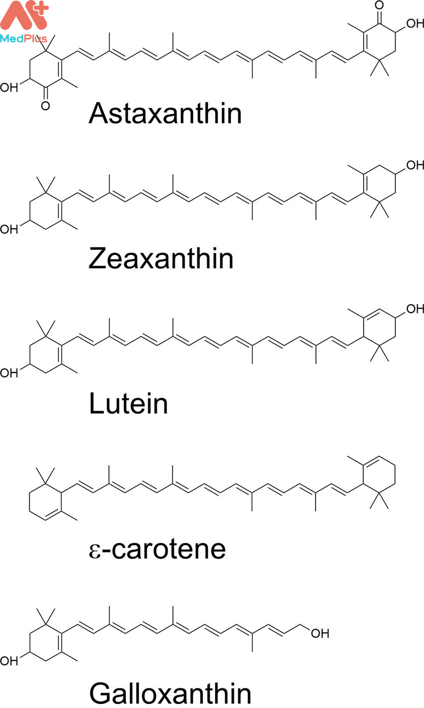 Công thức hóa học của một số loại carotenoid phổ biến