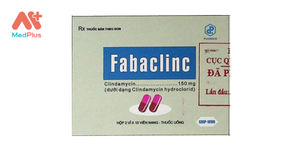 Fabaclinc