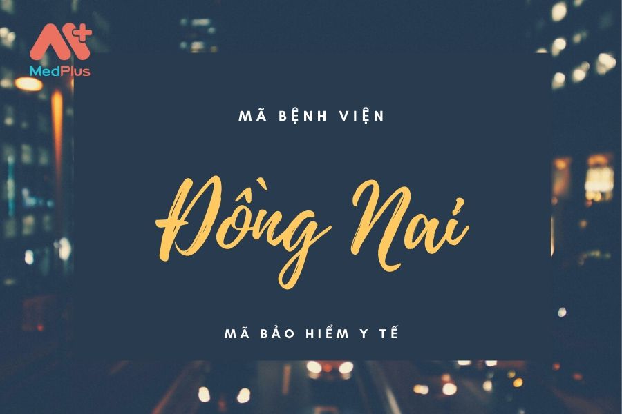 Mã BHYT tỉnh Đồng Nai