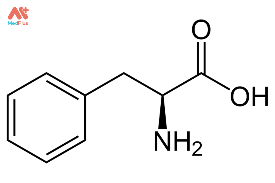 Phenylalanine là gì? Vai trò, lợi ích đối với sức khỏe 128 Phenylalanine và những lợi ích đối với sức khỏe