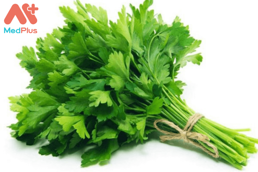 Lợi ích của rau mùi tây