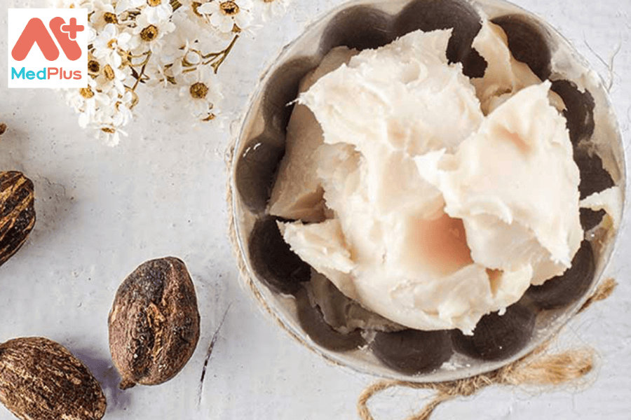 Lợi ích của bơ hạt mỡ