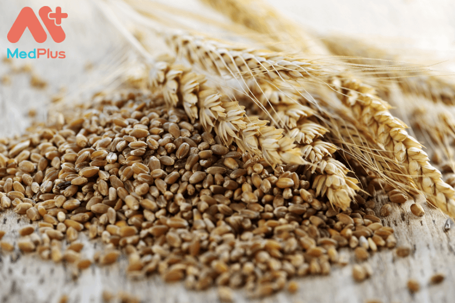 Lợi ích của cám mì