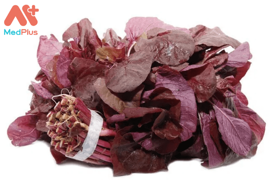 Lợi ích của rau bina đỏ