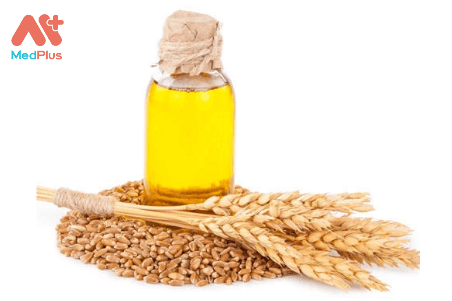 Lợi ích của dầu mầm lúa mì