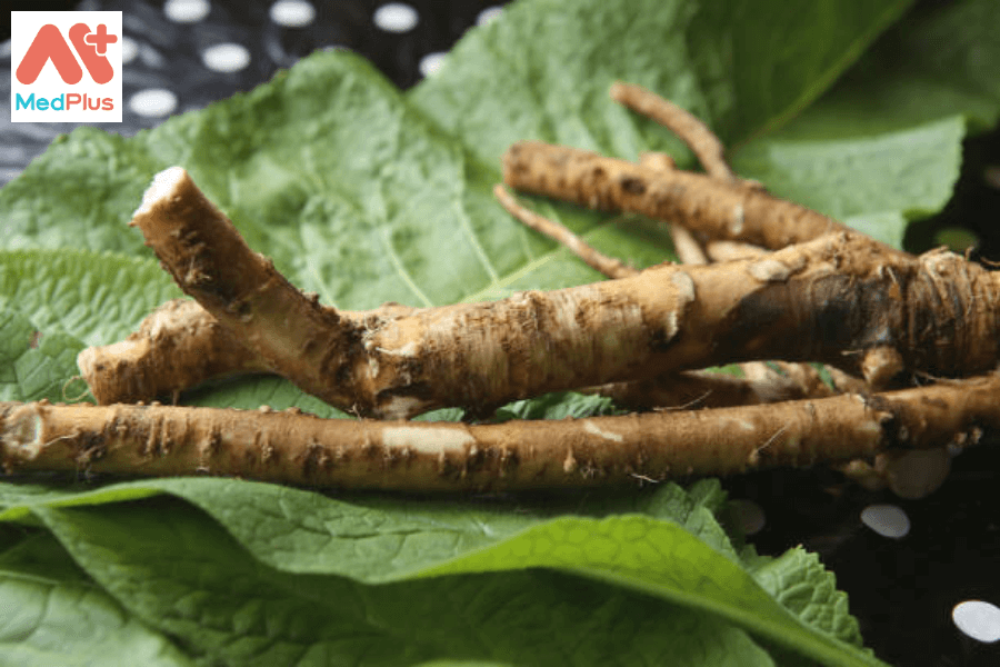10 tác dụng tuyệt vời của rễ cây cải ngựa bạn nên biết 136 Lợi ích của rễ cây cải ngựa