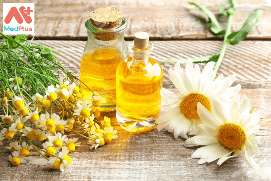 Lợi ích của tinh dầu hoa cúc La Mã