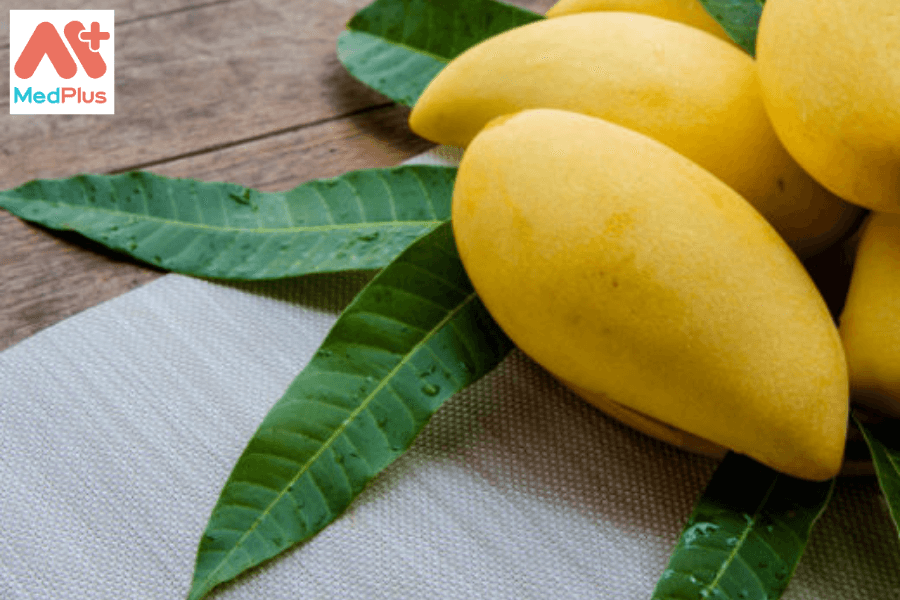 Tác dụng thần kỳ của lá xoài có thể bạn chưa biết 134 Lợi ích của lá xoài