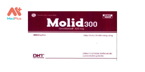 Thuốc Molid 300