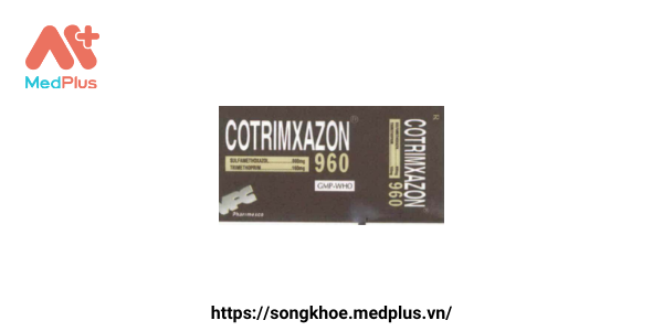Thuốc Cotrimxazon 960