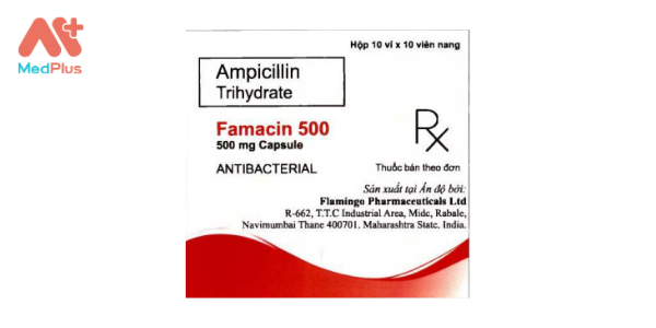 Thuốc Famacin 500 mg