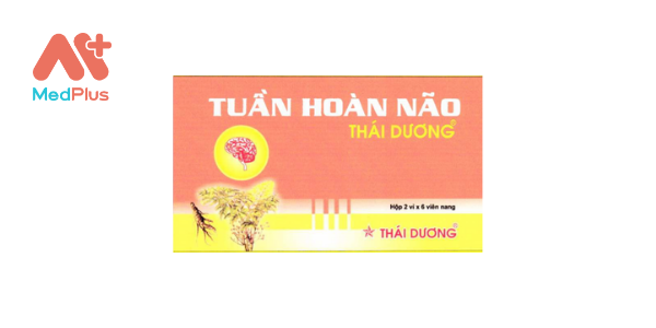 Tuần hoàn não Thái Dương