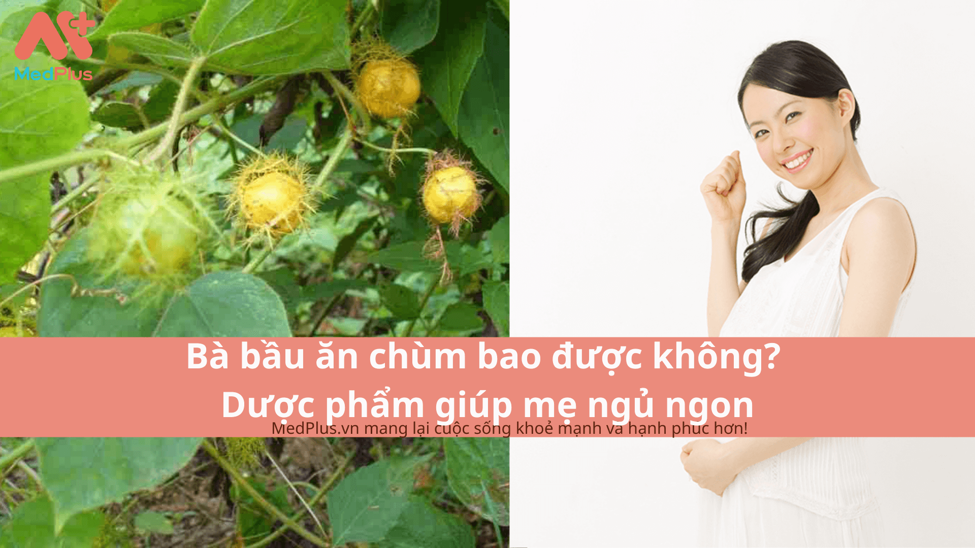 Bà bầu ăn chùm bao được không? Dược phẩm giúp mẹ ngủ ngon