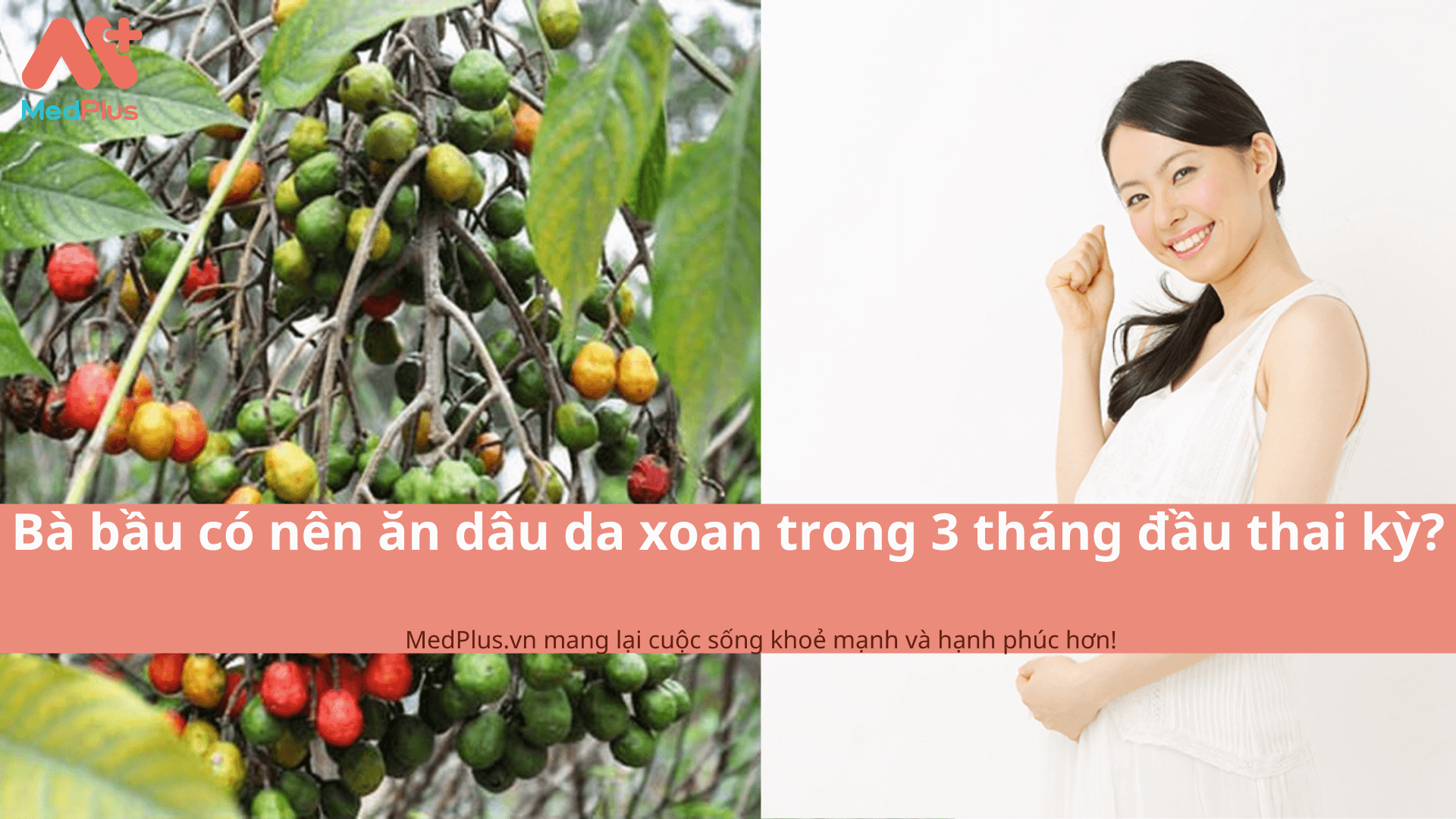 Bà bầu có nên ăn dâu da xoan trong 3 tháng đầu thai kỳ?