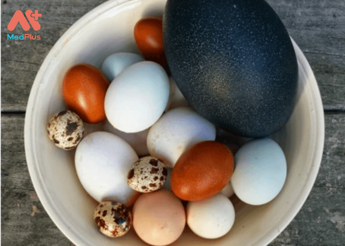 Theo nghiên cứu, trứng đà điểu có hàm lượng protein cao hơn cả trứng ngỗng, nhưng lại ít cholesterol. 