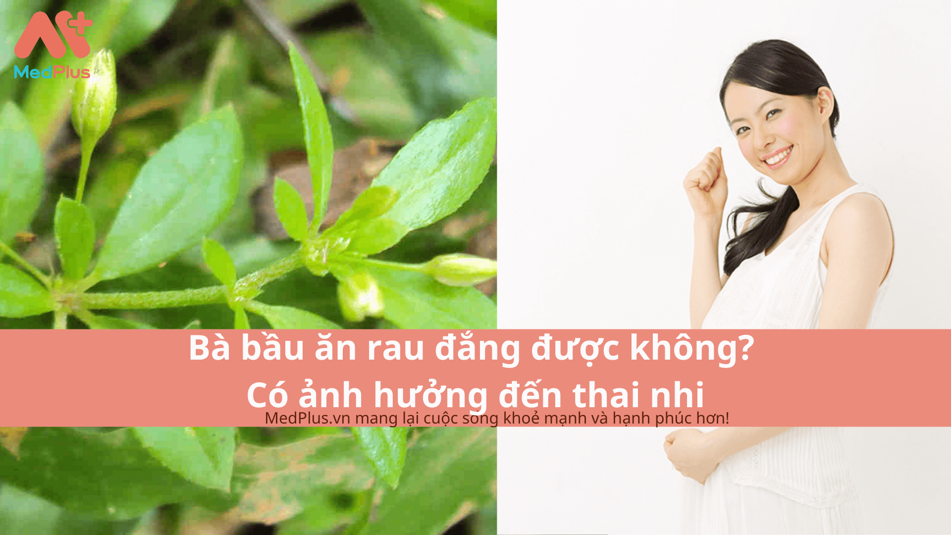 Bà bầu ăn rau đắng được không? Có ảnh hưởng đến thai nhi