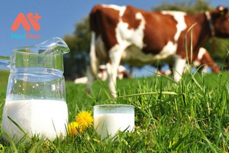 6 tác dụng tuyệt vời của sữa bò đối với sức khỏe mà bạn cần biết