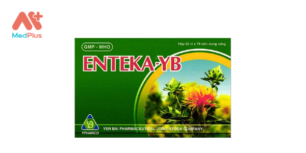 Enteka-YB