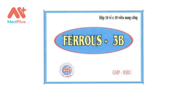 Ferrous-3B
