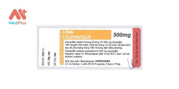 Pan-Cloxacillin 500mg