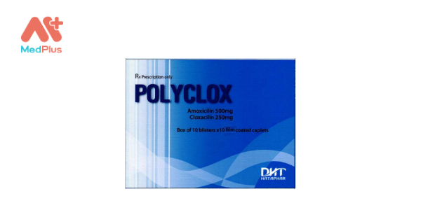 Polyclox
