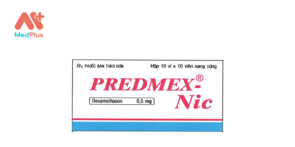 Predmex-Nic