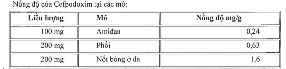 Screen Shot 2020 01 20 at 22.47.17 - Medplus