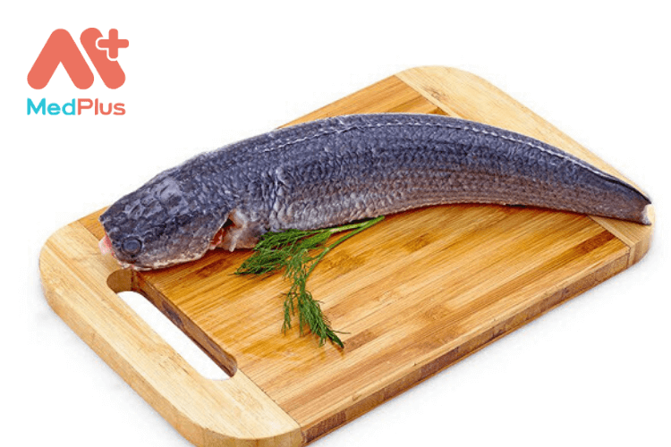 cá lóc thực phẩm dinh dưỡng cho bà bầu