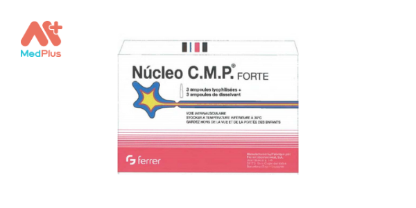Nucleo CMP forte