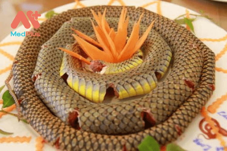 Thịt rắn và những tác dụng không ngờ đối với sức khỏe