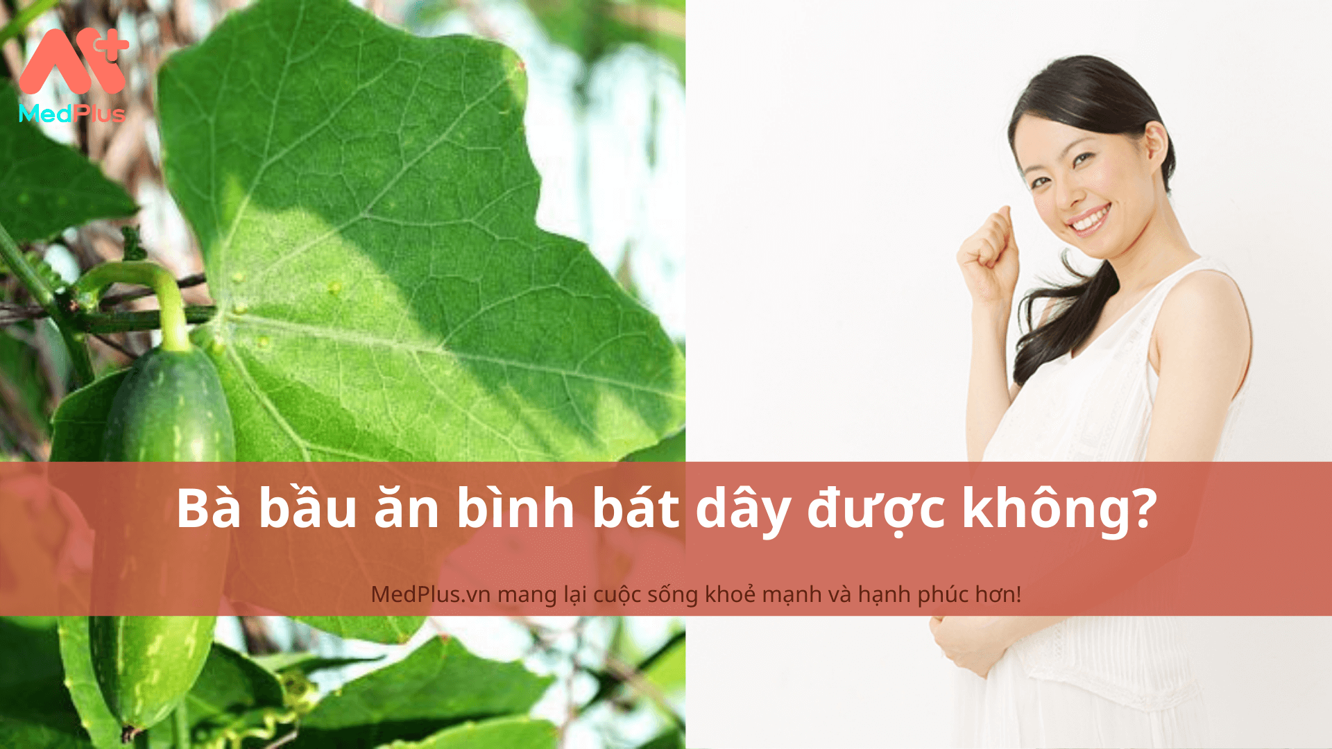 Bà bầu ăn bình bát dây được không?