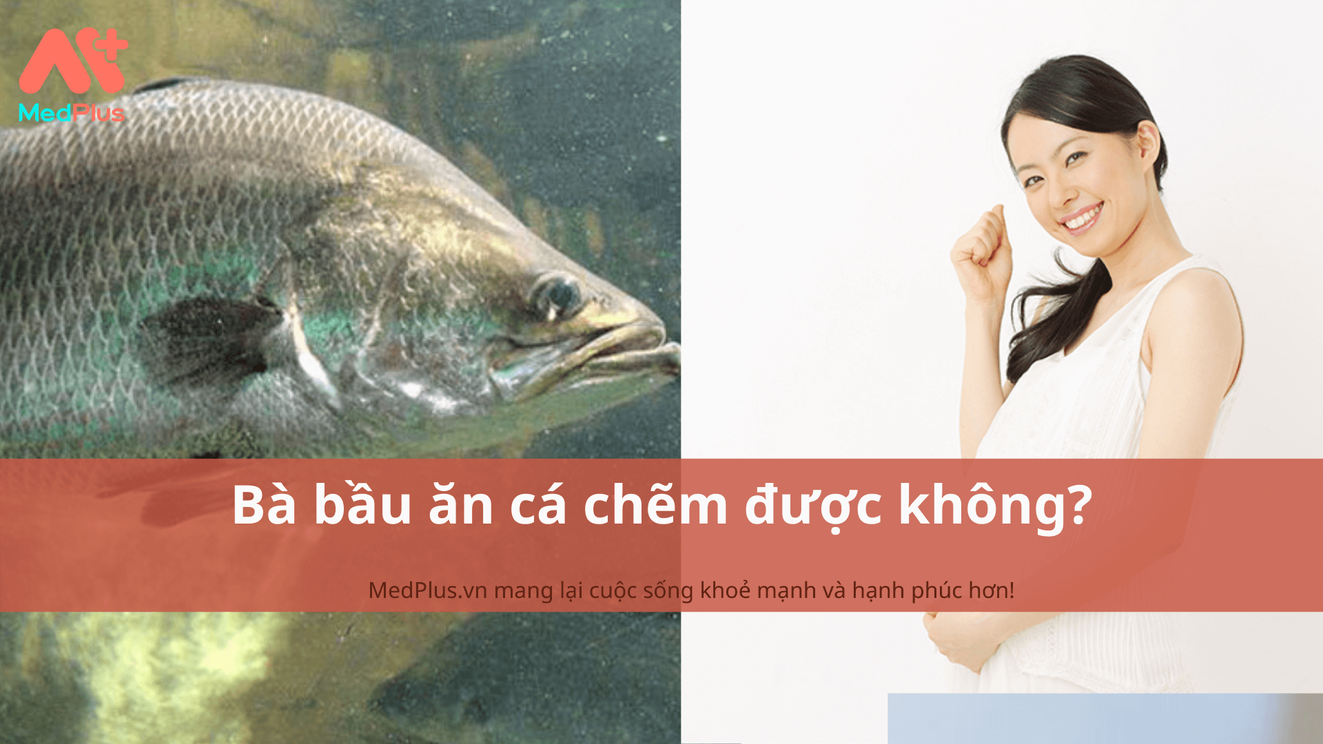 bà bầu ăn cá chẽm được không