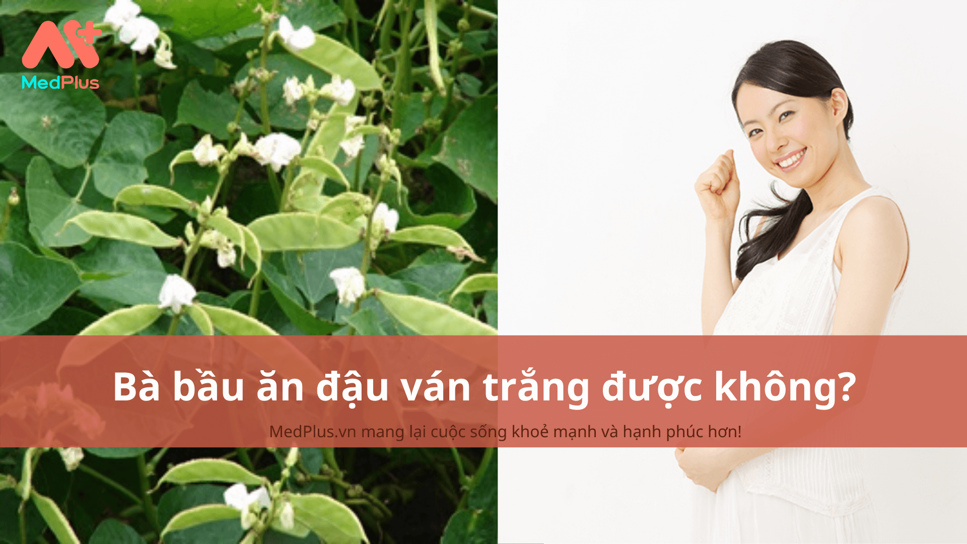 Bà bầu ăn đạu ván trắng được không