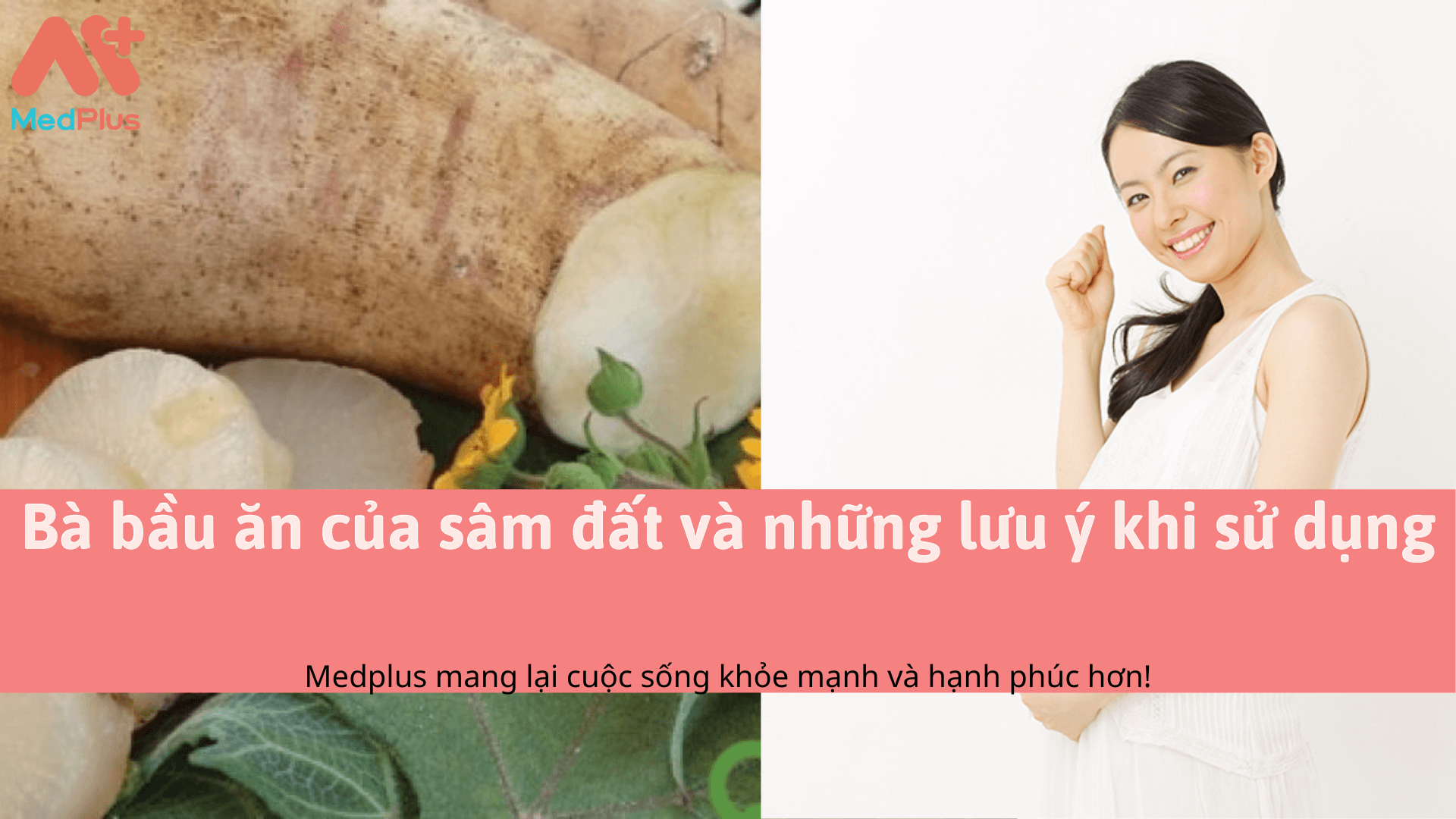 Bà bầu ăn của sâm đất và những lưu ý khi sử dụng