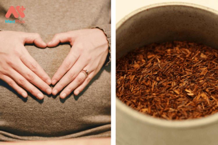 Hồng trà Nam Phi mang đến nhiều lợi ích cho sức khỏe bà bầu