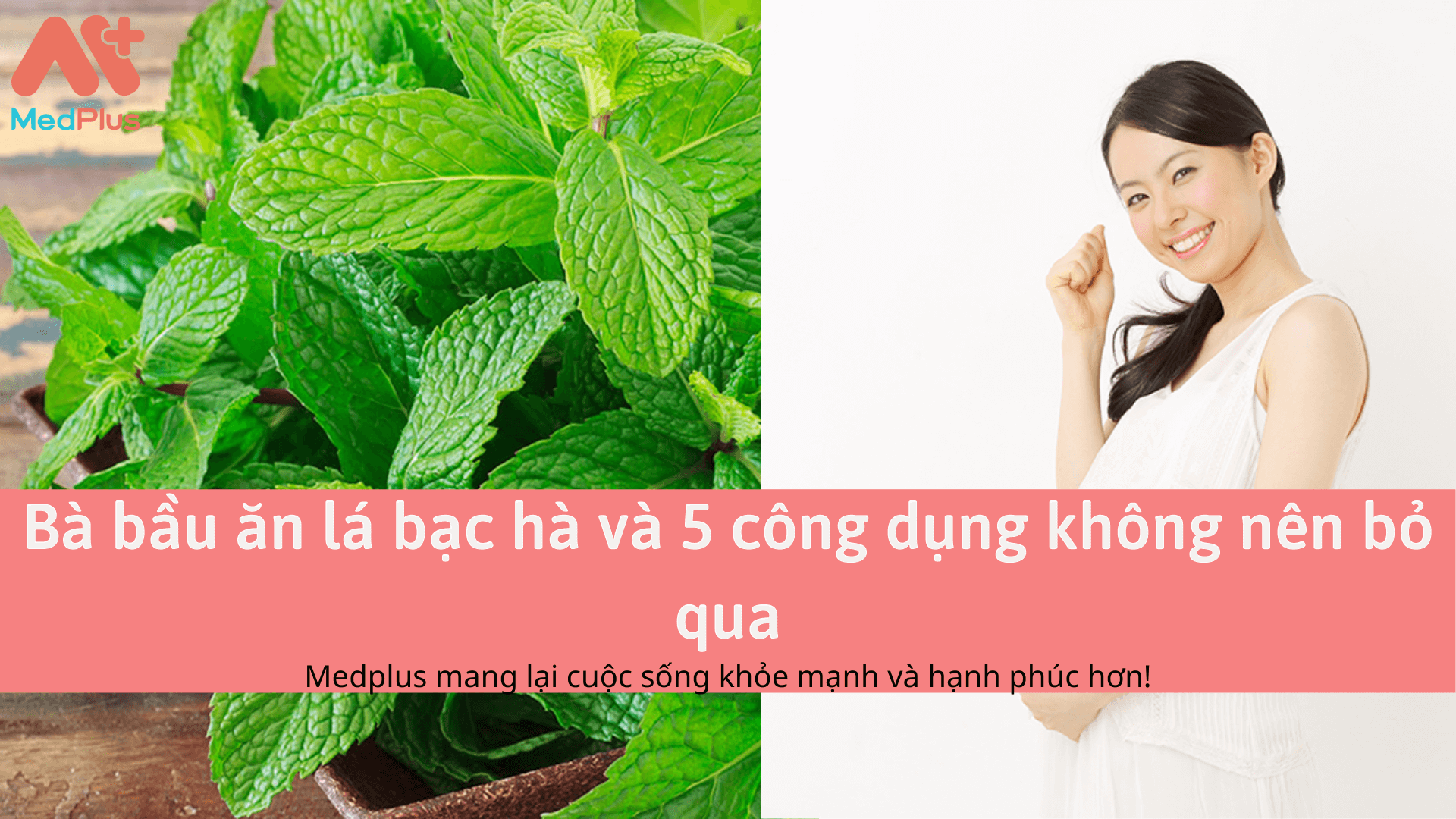 Bà bầu ăn lá bạc hà và 5 công dụng không nên bỏ qua