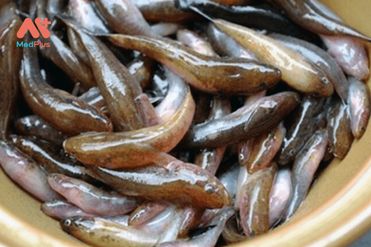 thịt cá bống thơm ngon và có tác dụng chữa bệnh