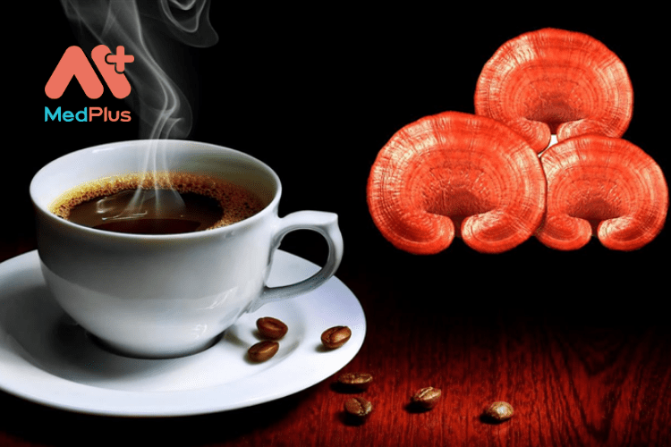 tác dụng của cà phê nấm