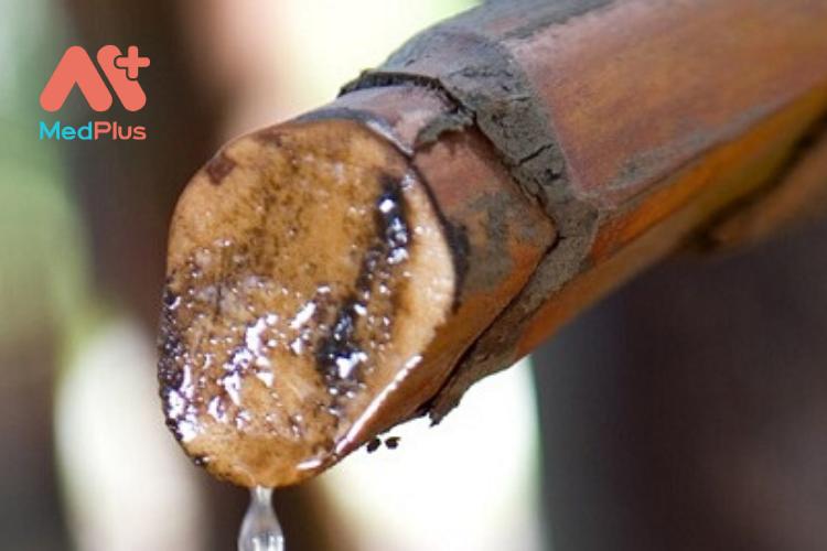 Mật dừa nước là gì? Các công dụng của mật dừa nước đối với sức khỏe