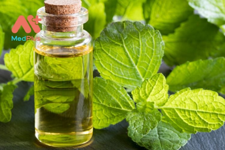 14 tác dụng hữu ích của tinh dầu Melissa đối với sức khỏe