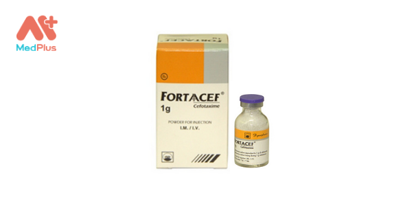  Fortaacef 1 g