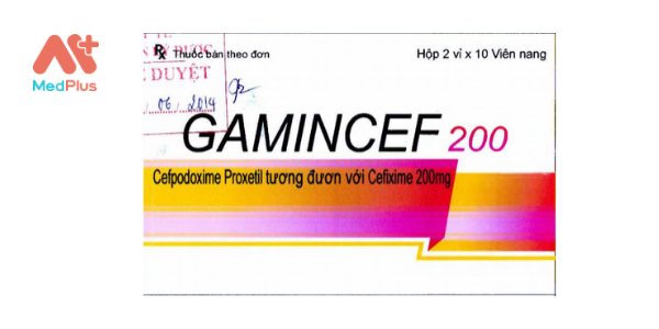 Gamincef 200