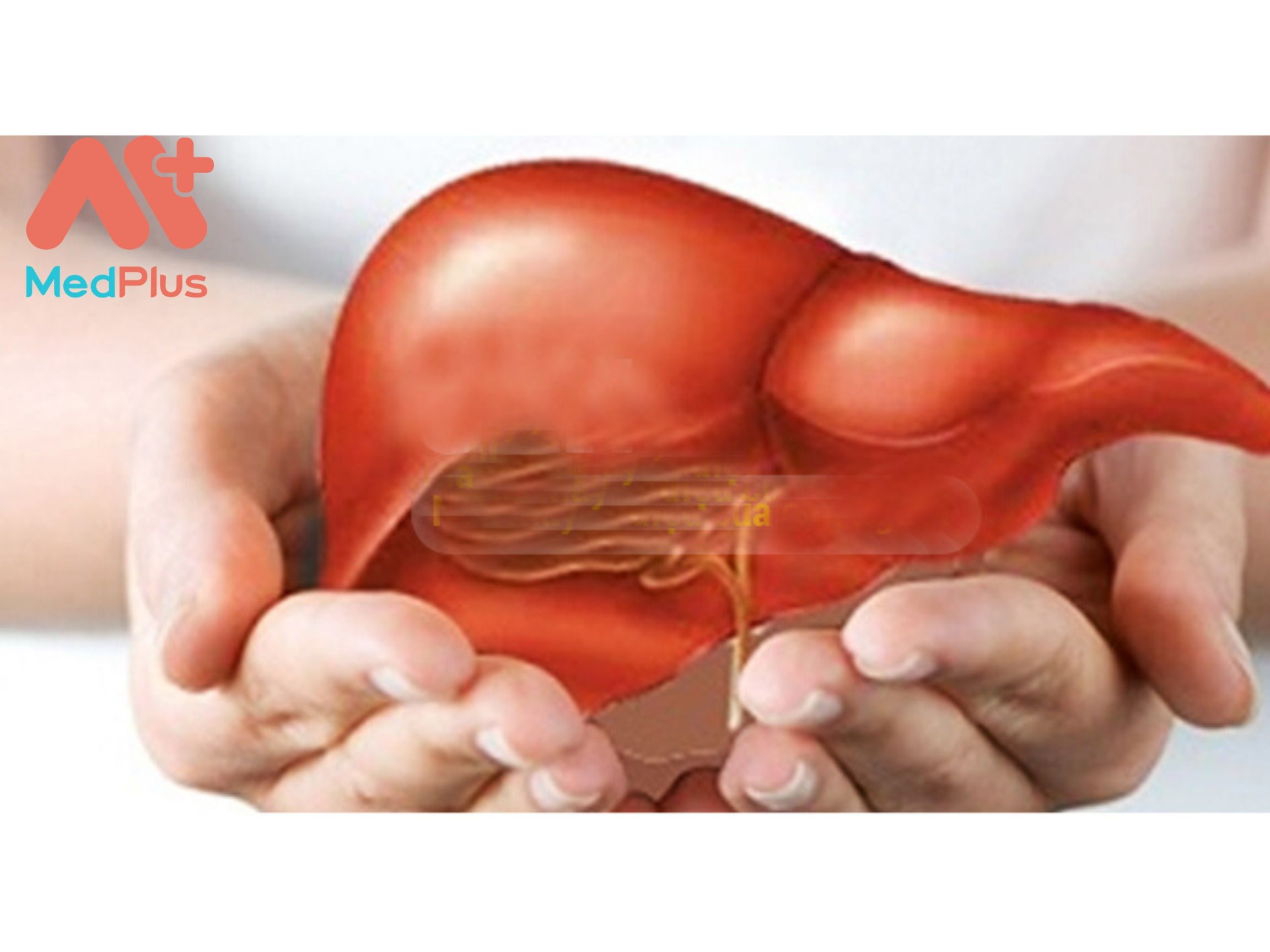 Top 4 địa chỉ khám gan thận uy tín tại quận 4