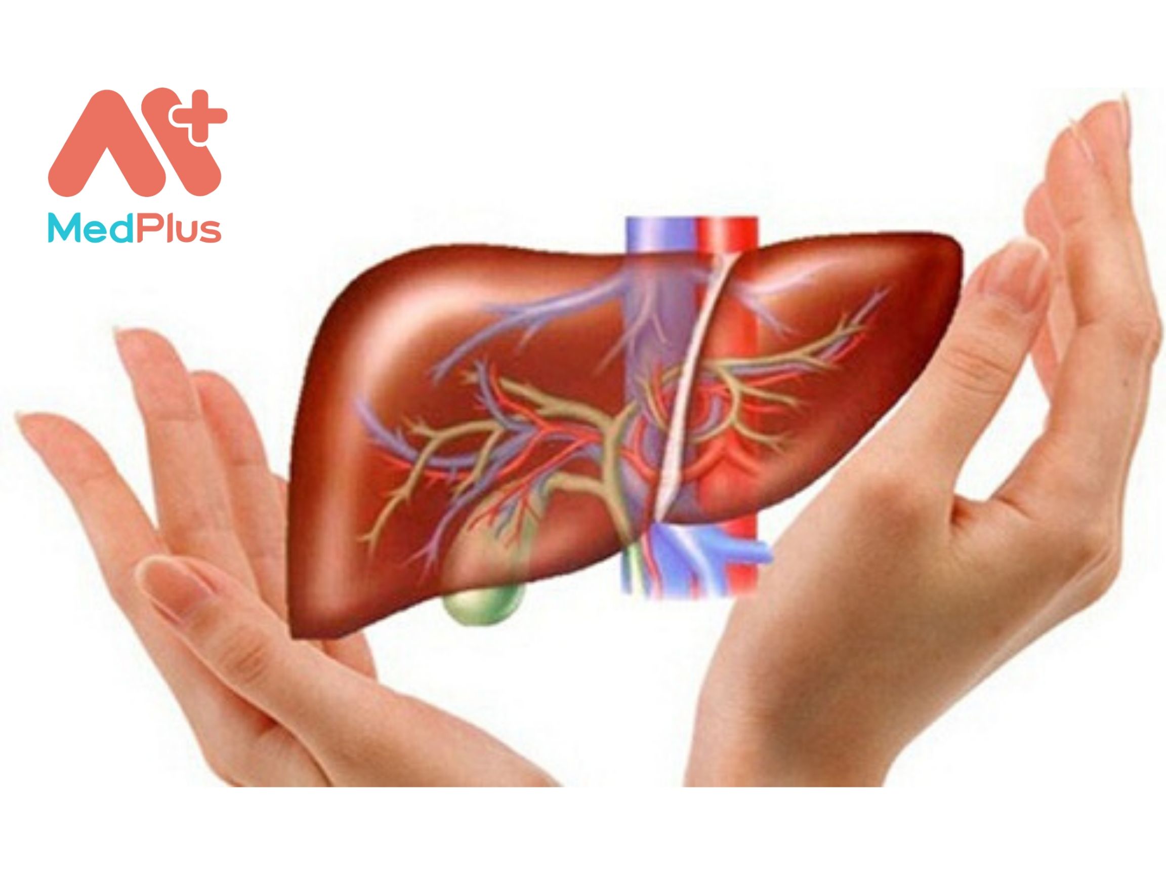 Top 5 địa chỉ khám gan thận uy tín tại quận 3