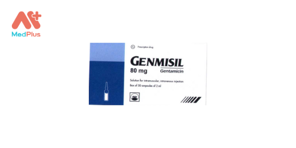 Genmisil