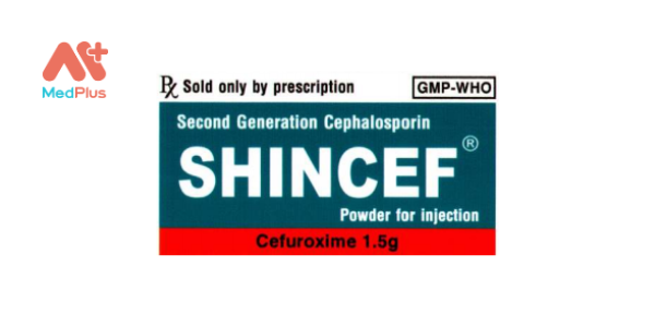 Shincef