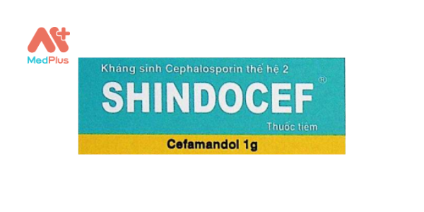 Shindocef