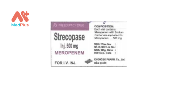 Thuốc Strecopase Inj. 500mg: Liều dùng & lưu ý, hướng dẫn sử dụng, tác dụng phụ 128 Strecopase Inj. 500mg