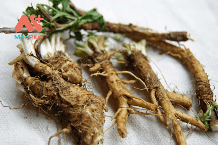 Tác dụng của rễ cải ô rô